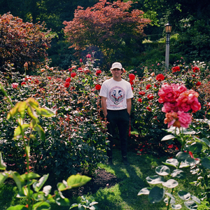 夸克日本电影免费2024年上映
